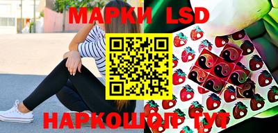 apvp Кунгур