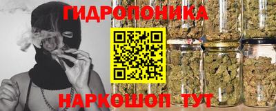 apvp Кунгур