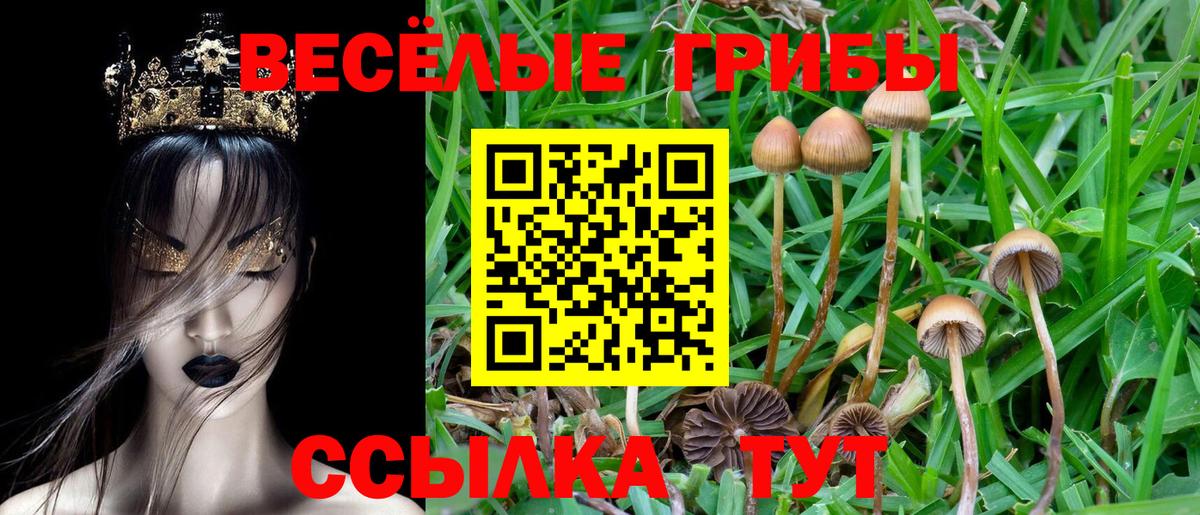 Галлюциногенные грибы Cubensis  Вход с VPN  закладки  Грозный 